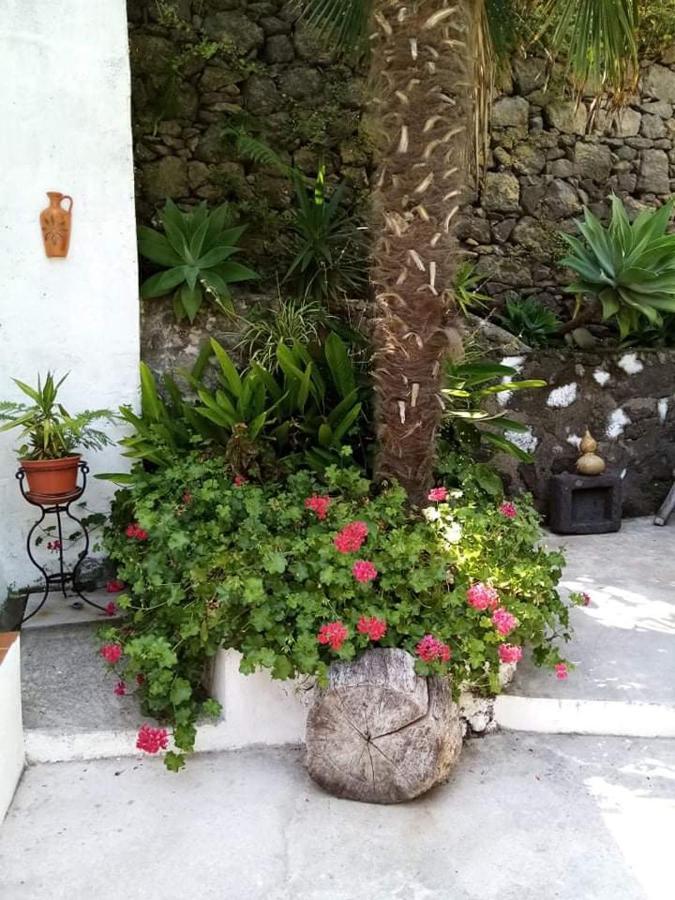 Ribeira Da Praia House Vila Franca do Campo Dış mekan fotoğraf